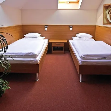 Promedicum Panzio 2* Veszprém