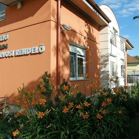 Frühstückspension Promedicum Panzio 4*