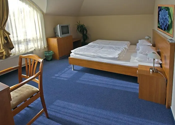 Promedicum Panzio Bed & Breakfast 4*