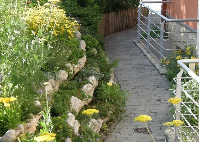 Promedicum Panzio Veszprém